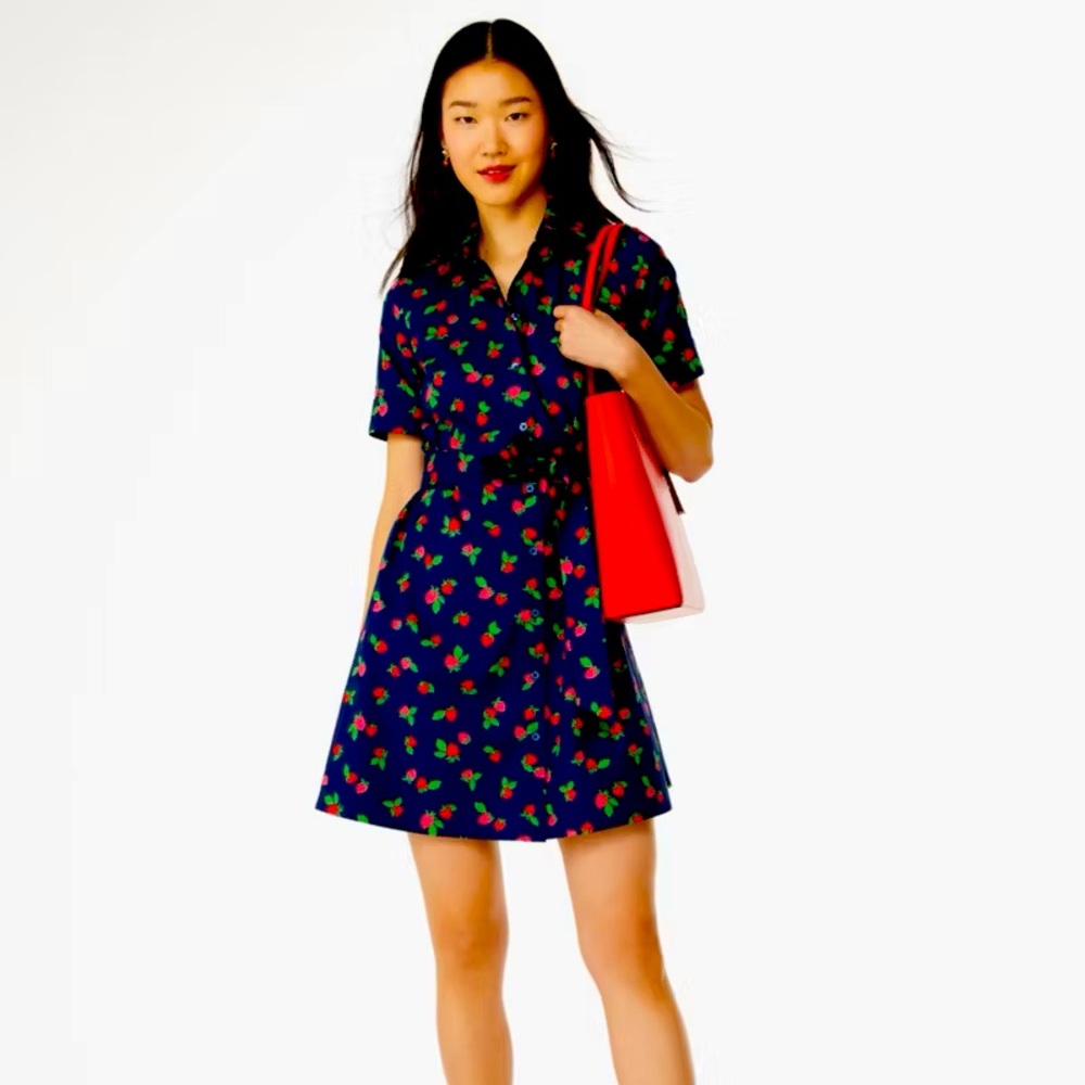 Kate spade strawberry fields dress